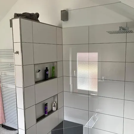 Traumhafte Mit Und Bergsicht Apartmán Friedrichshafen
