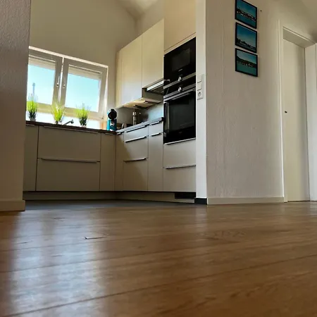 Traumhafte Mit Und Bergsicht Friedrichshafen